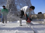 厚い氷が張ると、氷の切り出しを行う