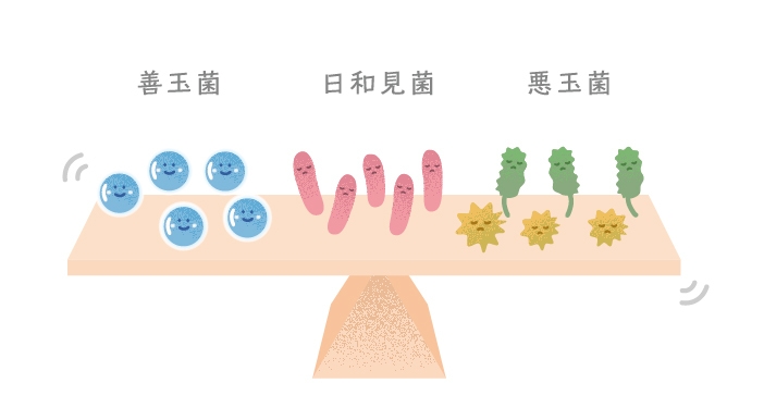 皮膚常在菌のバランス