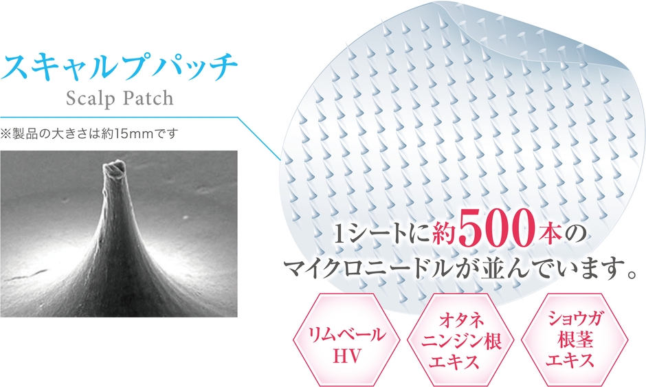 マイクロニードルのイメージ