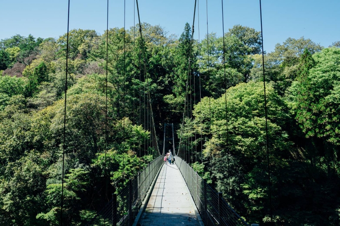 天龍峡(つつじ橋)