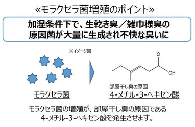 梅雨本格化！毎日部屋干しの嫌な臭いに悩まされていない？ 抗菌性＆速乾性の高いインナーで解決できることが明らかに 部屋干し臭の原因“モラクセラ菌”とは？