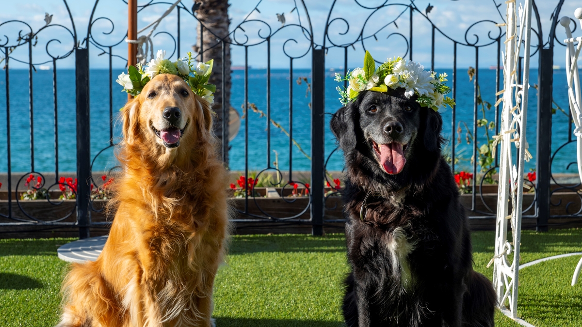 淡路島西海岸　「ミエレ ザ ガーデン」 春の淡路島旅は愛犬と一緒に！ わんちゃんへ贈り物をプレゼント『春旅キャンペーン』を４月10日よりスタート！