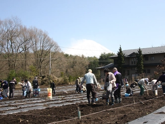 富士山の麓で高原野菜作りにチャレンジ！ 富士緑の休暇村「貸し農園」のオーナー募集中！ ～JA鳴沢村共同企画・全100区画を募集致します～