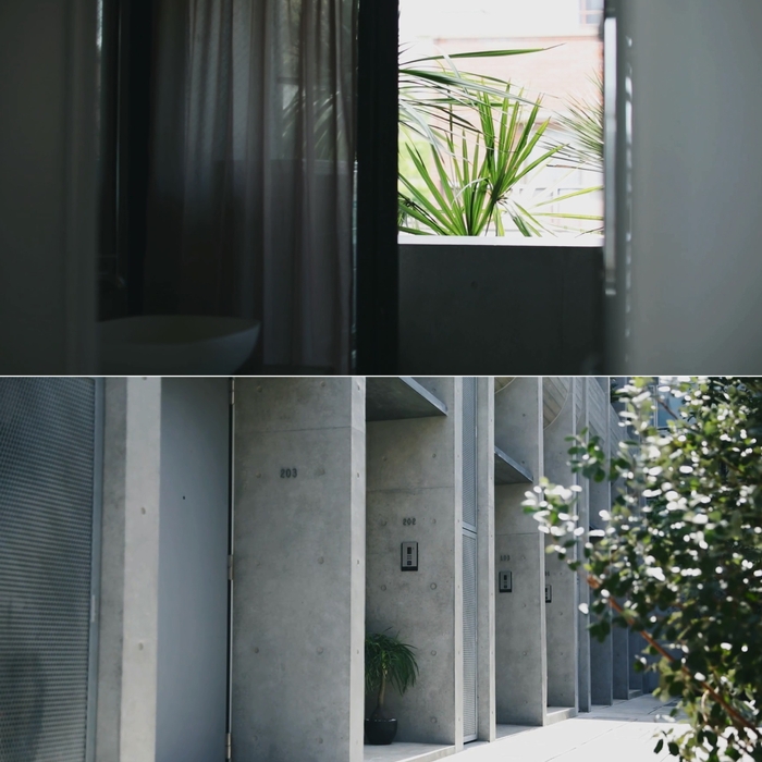 室内(上)/玄関前(下)