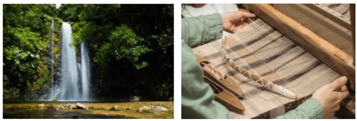 やんばるの自然・文化体験 -NATURE & CULTURE-(イメージ)