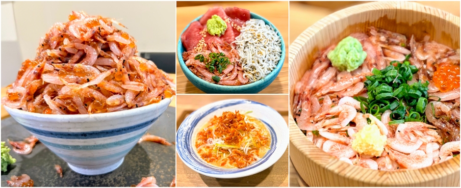駿河湾桜えびが主役のメニューが4/1より新登場