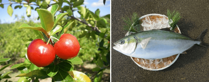 アセロラ(左)、アセロラブリヒラ(右)