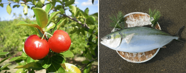 アセロラ(左)、アセロラブリヒラ(右)