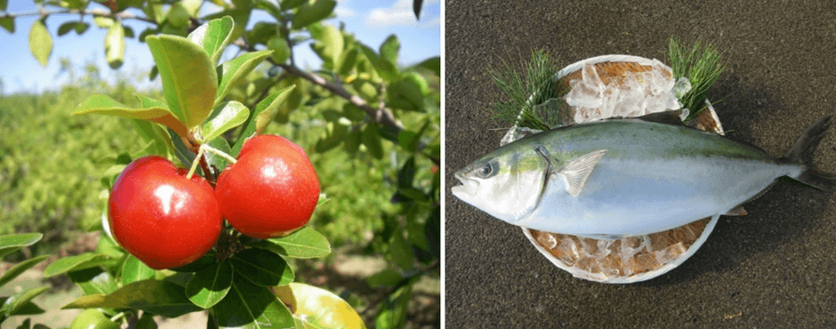 アセロラ(左)、アセロラブリヒラ(右)