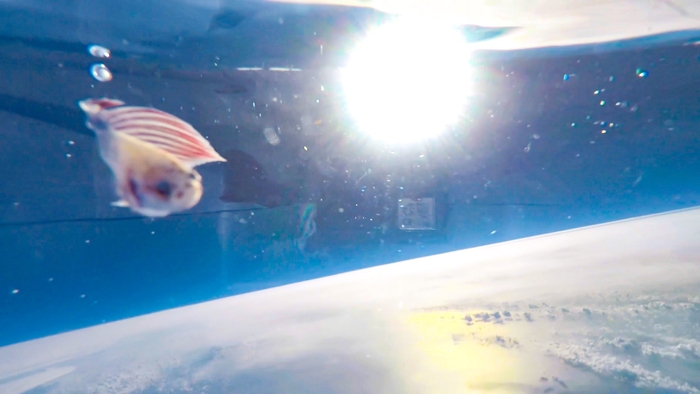 上空25,000m付近の様子(2)