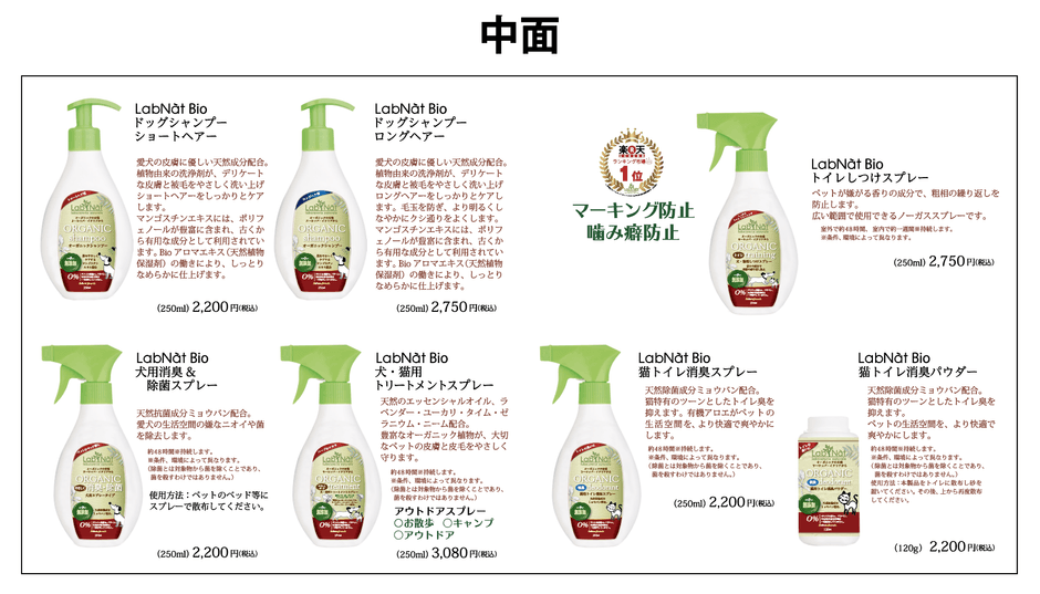 リーフレット中2