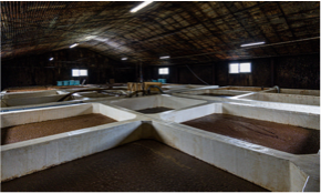 工場見学も大人気です!