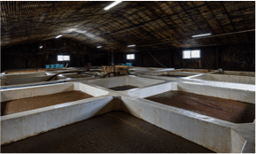 工場見学も大人気です！