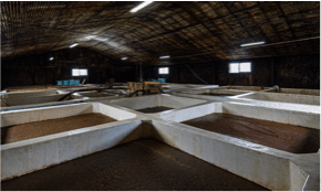 工場見学も大人気です!