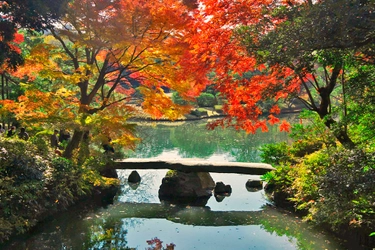 【11月11日更新】10月中旬～東京の紅葉シーズン到来！都内の由緒正しい絶景9庭園を巡る「紅葉めぐりスタンプラリー」を開催