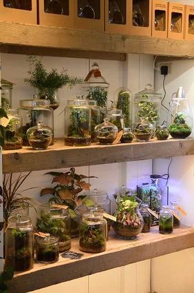 パルダリウムショップ風景 2