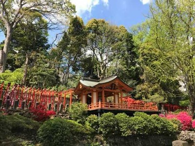 根津神社　乙女稲荷