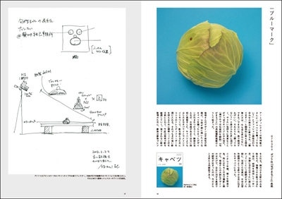 中面:『ブルーマーク』(撮影ノート)
