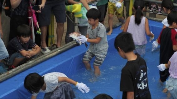 魚宴~さかなまつり~