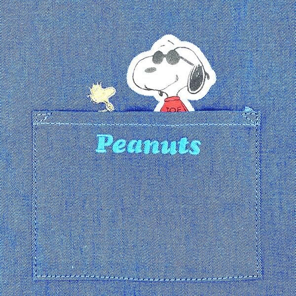 スヌーピーバッグ