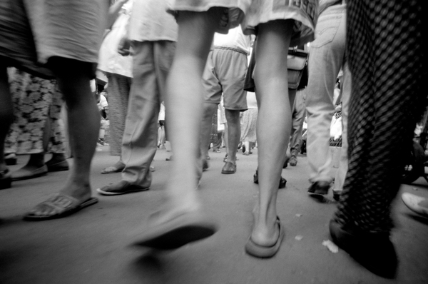 「私は犬だ」より 1995