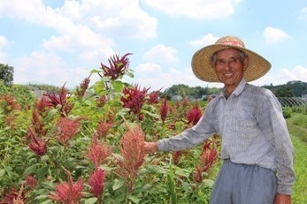 熊本県合志市の生産者