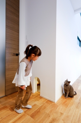 猫と人間が共に健康に暮らせる家を目指しています