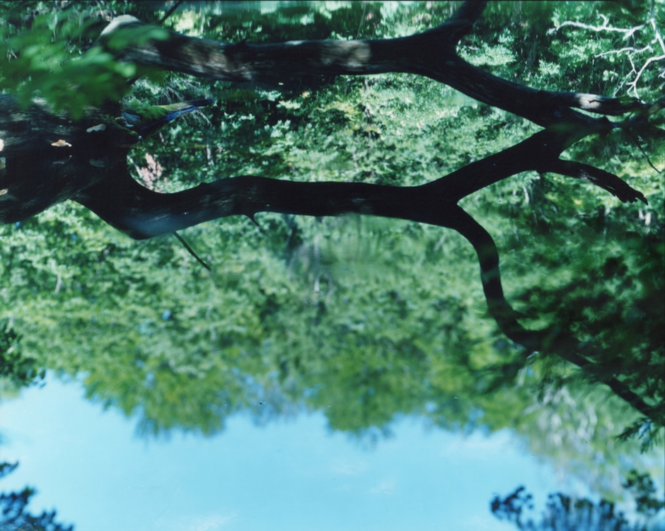 (C) Risaku Suzuki 2017