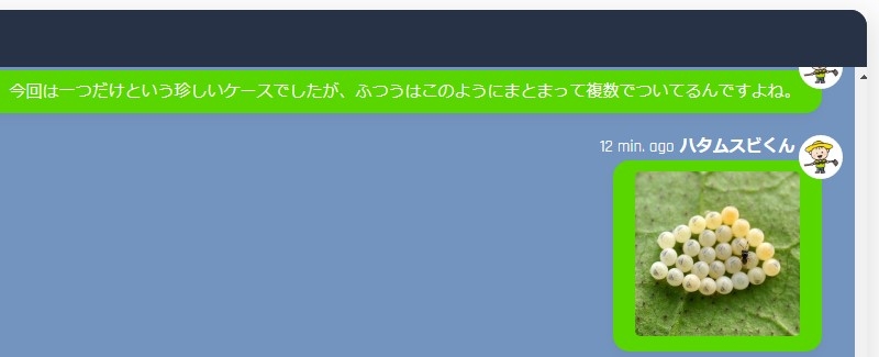 Q&Aチャットイメージ2