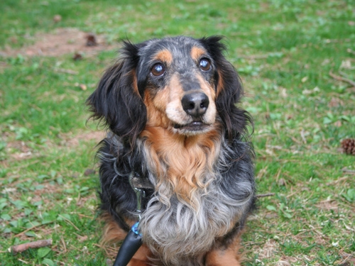 楽しいイベントを開催!