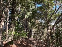 廃校となった小学校が通信制高校に三重県大台町に「みえ大台おおぞら高等学校」開校