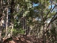 廃校となった小学校が通信制高校に三重県大台町に「みえ大台おおぞら高等学校」開校