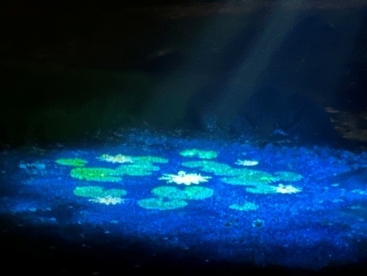 水香江プロジェクション（イメージ）