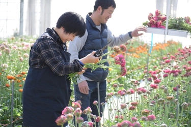 花のサブスクリプションサービス 「ハナノヒ365days」の新コース 「花農家のこだわり便」 生産者こだわりの花を毎月、 最良の開花状況に合わせてお届け 4月1日(金)申込受付開始