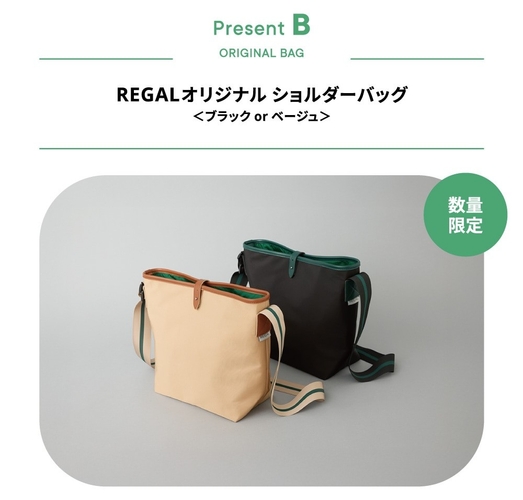 サイズ :本体／約 横270（底部）× 高さ300 × マチ150mm 素材 : ポリエチレン、合成皮革