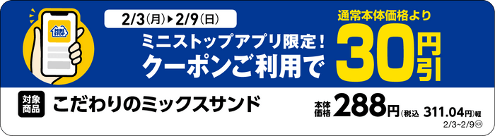 単品販促物一例※4（画像はイメージです。）