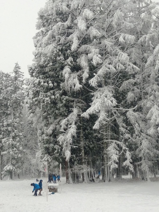 雪／白馬インターナショナルスクール