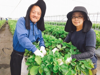 長野県安曇野市の地元農家の野菜や果物をお届けする イベント「わっこマルシェ」を10月15日に開催！