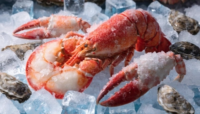 日本の冷凍シーフード市場規模は2034年までに10億910万米ドルに達すると予想｜年平均成長率（CAGR）：2.19%