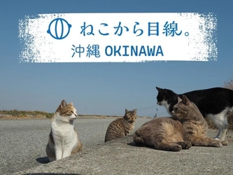 人と猫が共生できる沖縄に貢献したい！ 世界で一番猫にやさしい捕獲器「トラスケ」が沖縄初上陸。 これまで以上に「ねこから目線。」な保護活動を開始します。