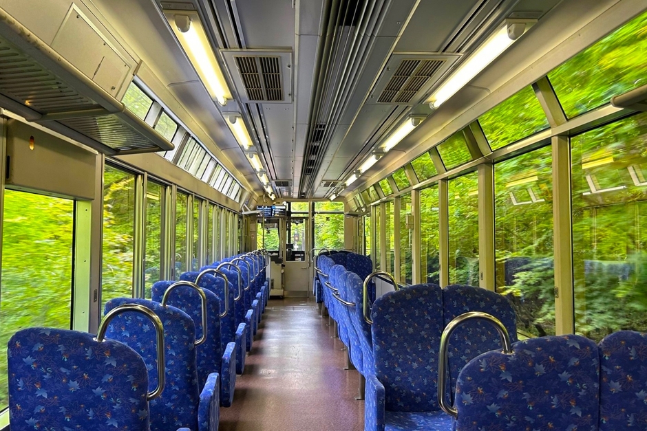 もみじのトンネル