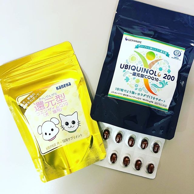 還元型コエンザイムQ10