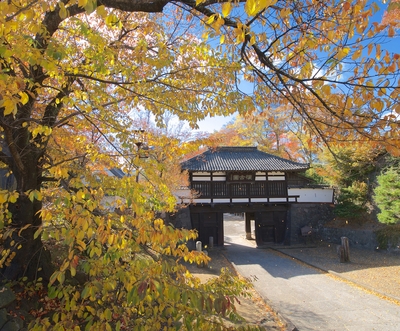 小諸城址 懐古園・三之門から秋の色彩を望む