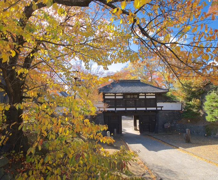 小諸城址 懐古園・三之門から秋の色彩を望む