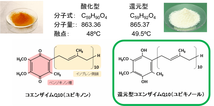 「酸化型」と「還元型」