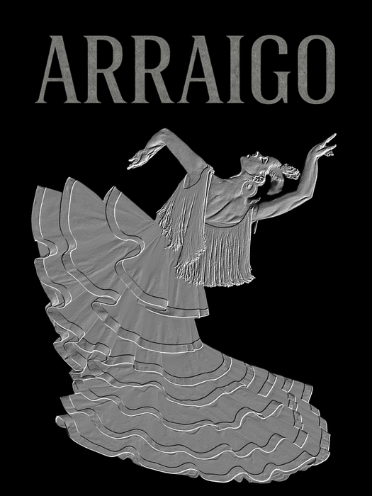 フラメンコショー「アライゴ」