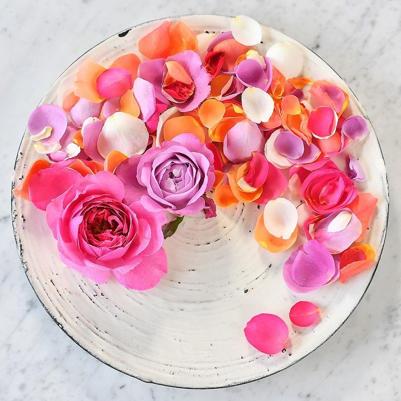 特別賞(アイディア)「EDIBLE GARDEN」