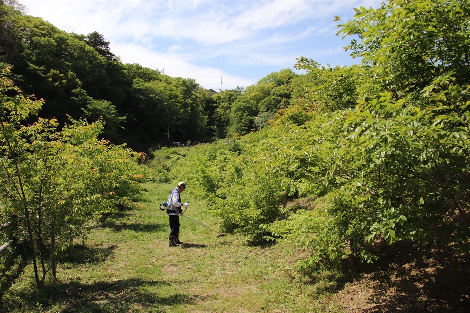 里山ゾーンの様子