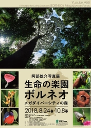 写真家の阿部 雄介氏による熱帯雨林／ボルネオに注目した写真展 　第80回特別展を東京農大「食と農」の博物館で8月24日から開催