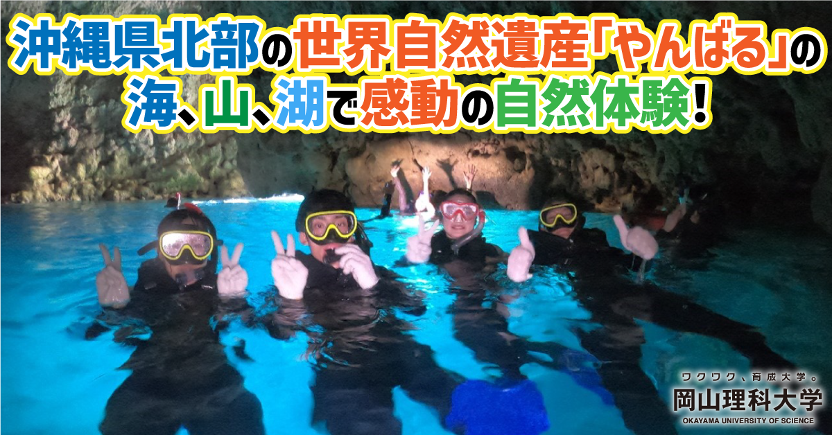 【岡山理科大学】沖縄県北部の世界自然遺産「やんばる」の海、山、湖で感動の自然体験!